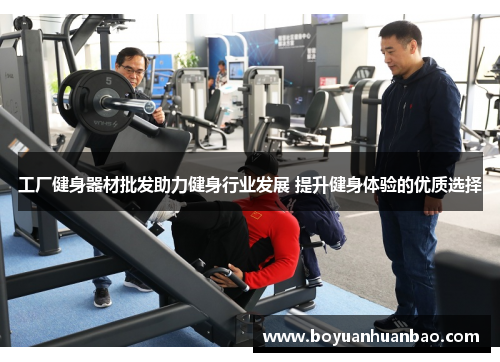 工厂健身器材批发助力健身行业发展 提升健身体验的优质选择
