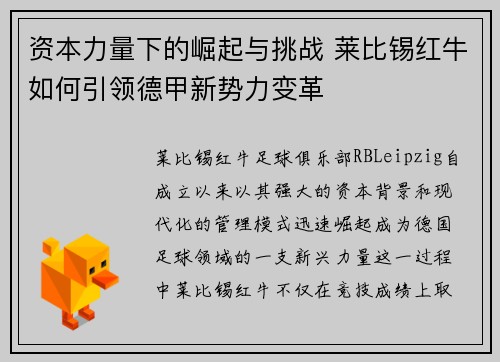 资本力量下的崛起与挑战 莱比锡红牛如何引领德甲新势力变革