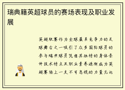 瑞典籍英超球员的赛场表现及职业发展