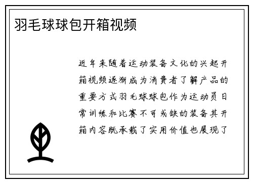 羽毛球球包开箱视频
